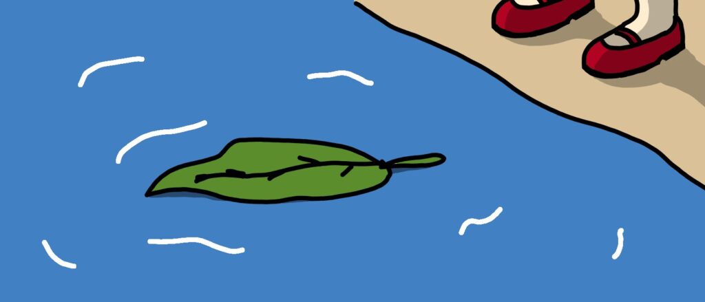 leaf on water